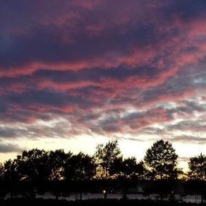 Meet your Posher, Ellen